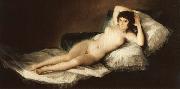 Francisco Goya The Naked Maja France oil painting artist